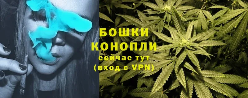 Бошки марихуана White Widow  продажа наркотиков  Армавир 